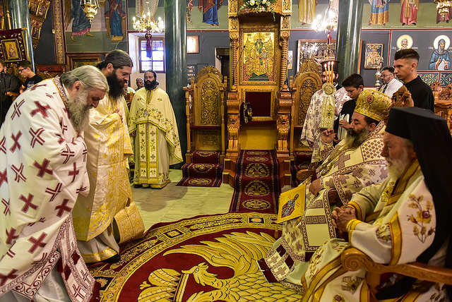 36605517845_bee853e5d1_z