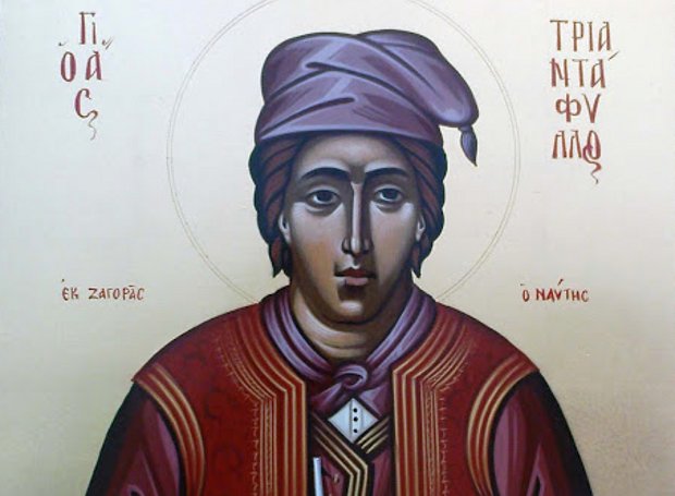 τριαντάφυλλος