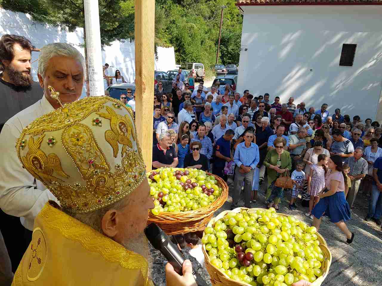 Metamorf_Rapsani_2017-3