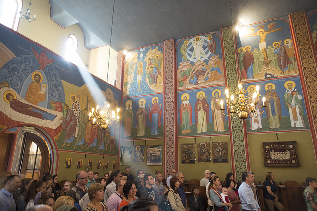 36837146936_cce98c81dc_z