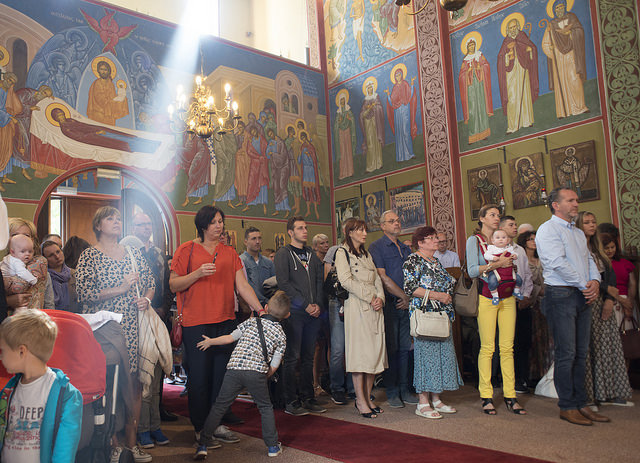 36884271521_b5bba6899b_z