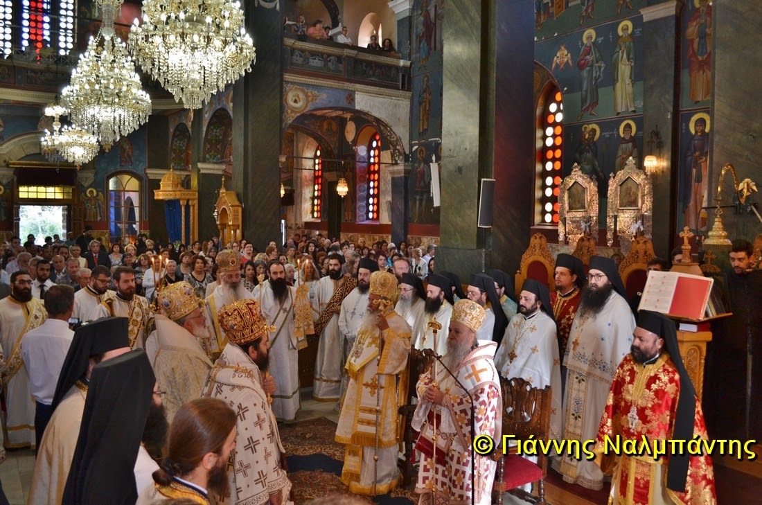 DSC_0245 (Αντιγραφή)