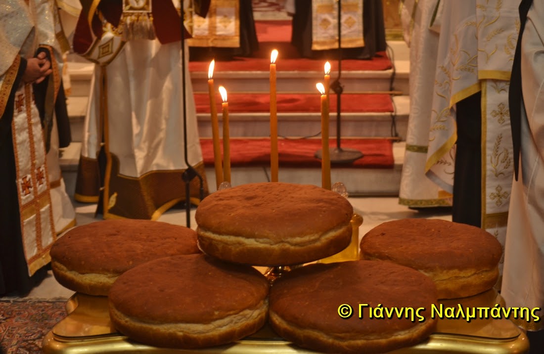 DSC_0486 (Αντιγραφή)