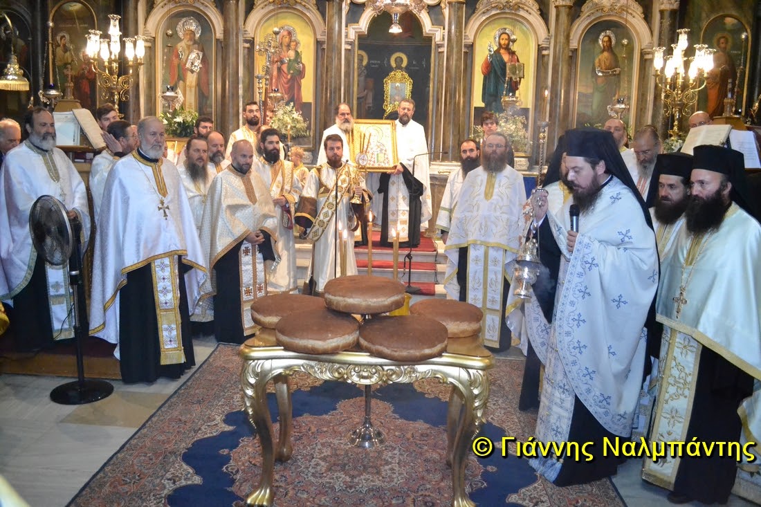 DSC_0555 (Αντιγραφή)