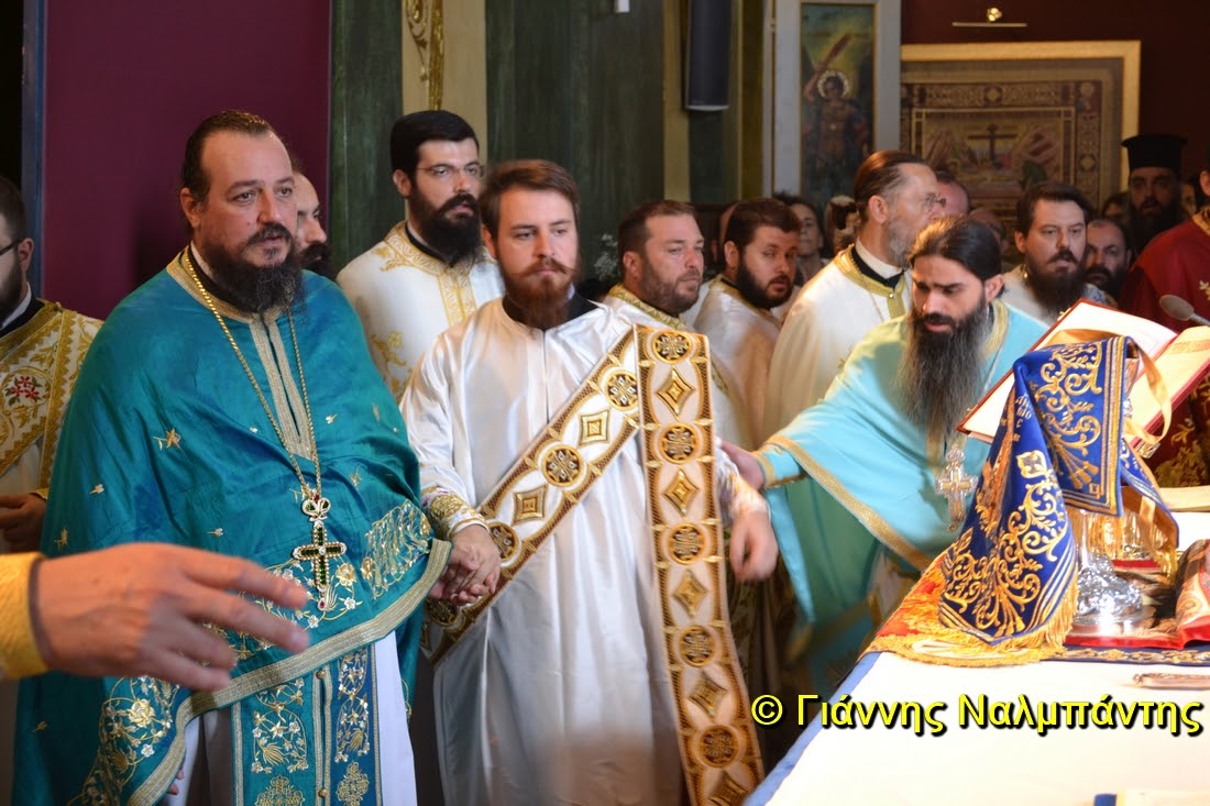 DSC_0709 (Αντιγραφή)