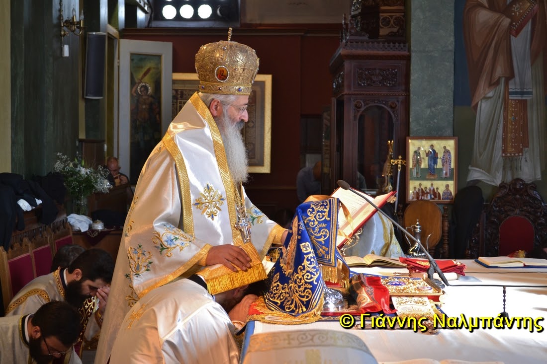 DSC_0735 (Αντιγραφή)