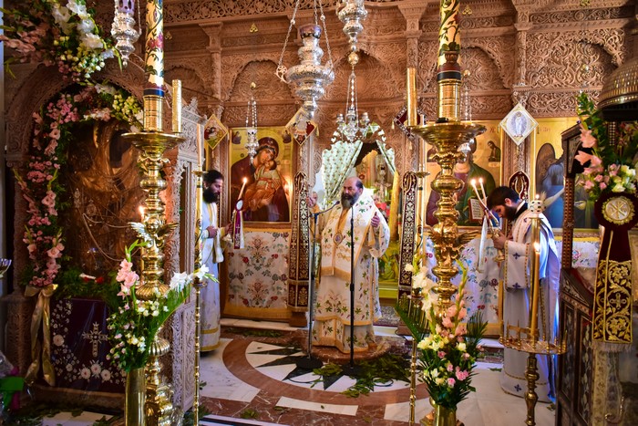 dsc_0504_36959701581_o