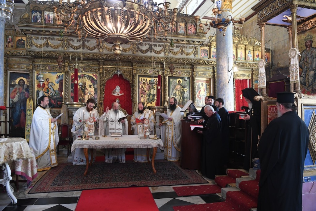 DSC_2005 αντίγραφο