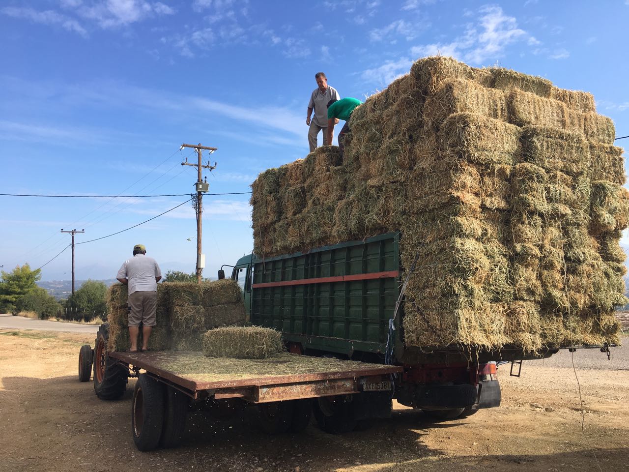 IMG-dabcaa5e22ecb29bdb4783feb569ea65-V