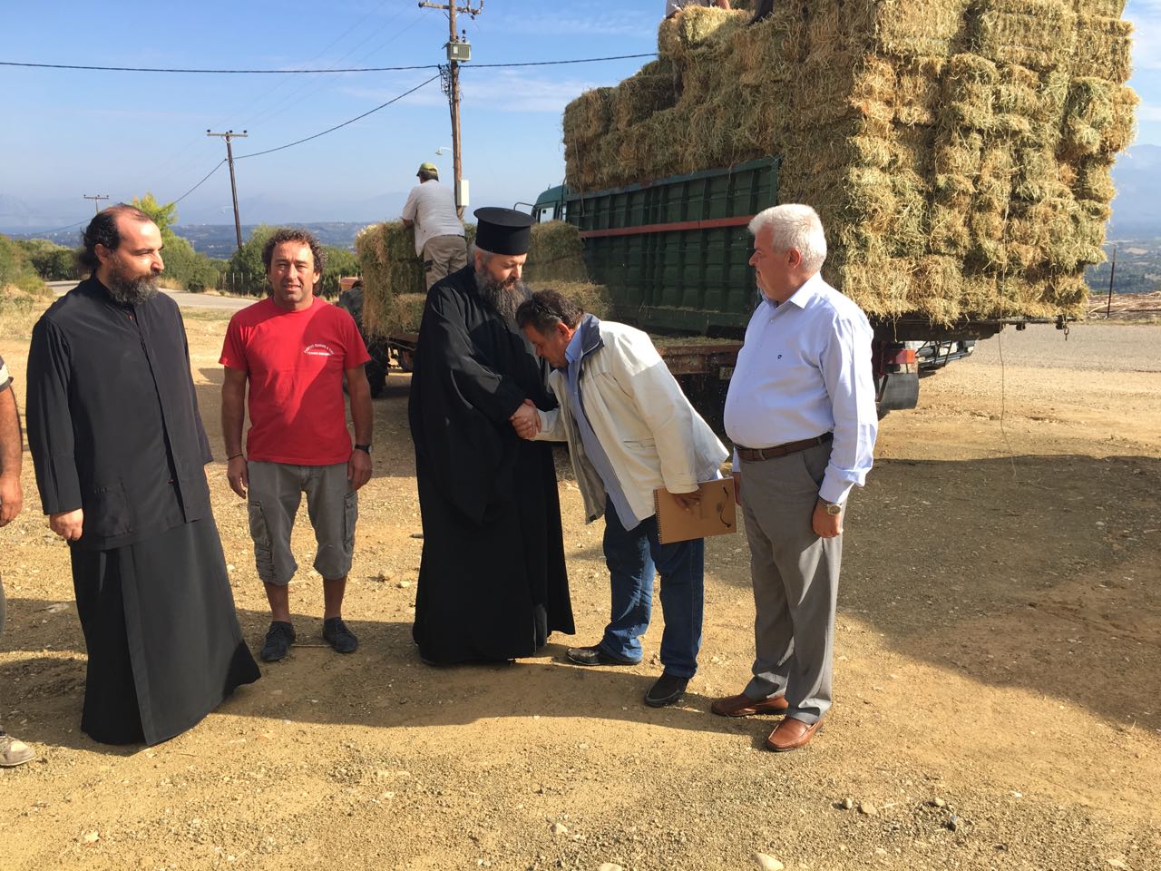 IMG-e172585b48ca90d1d6a6e053ad758e09-V