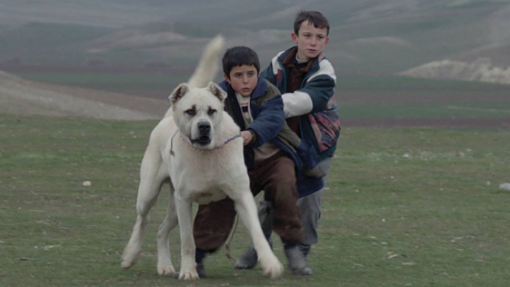 πλουσιόπαιδο