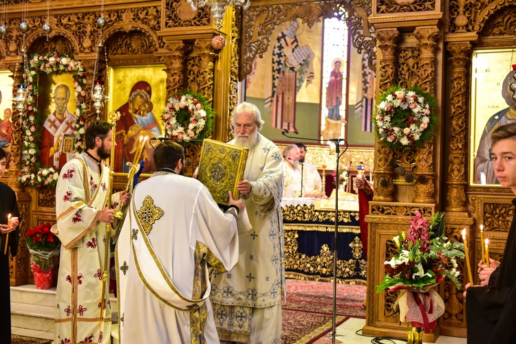 dsc_9499_24999117448_o