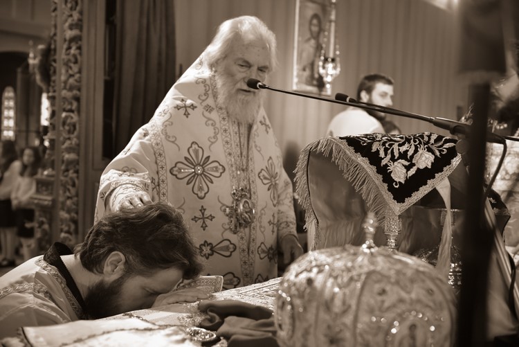 dsc_9550_38154575684_o