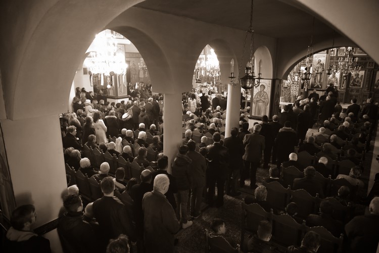 dsc_9556_38154574274_o