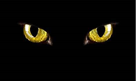 Τρίτη και 13