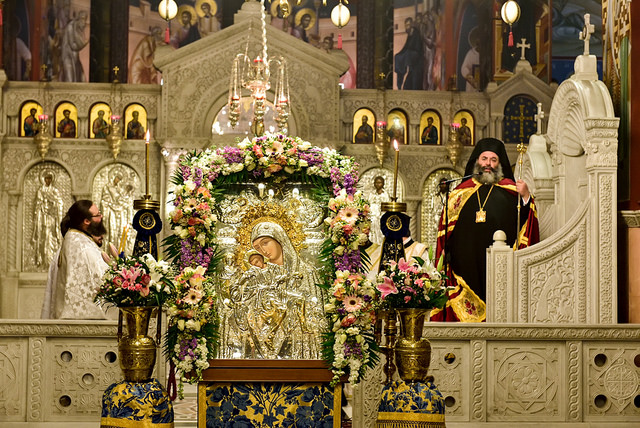 40974528431_acc3e28686_z