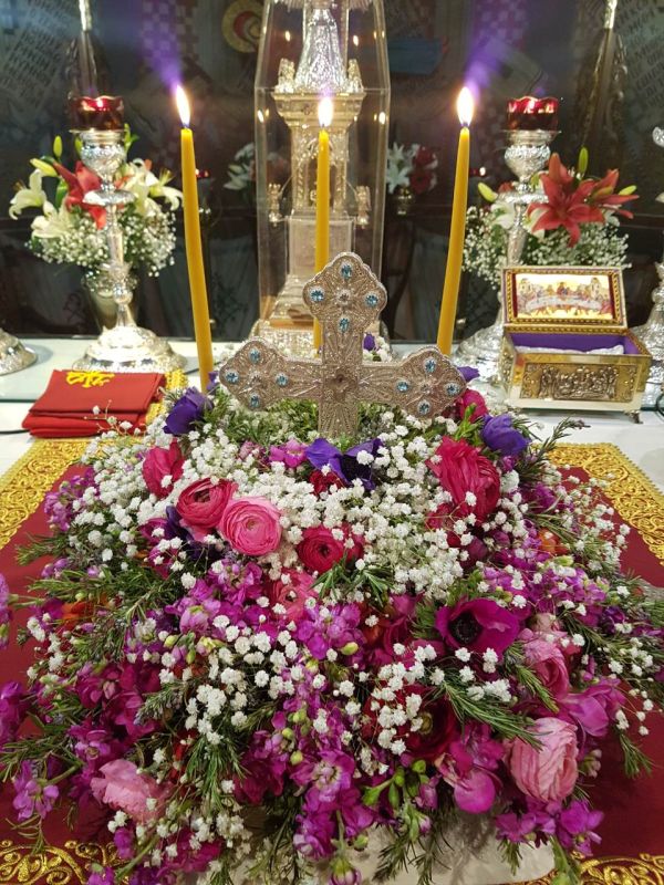 Stauroproskinisi_2018-1