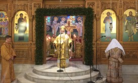 δημητριάδος