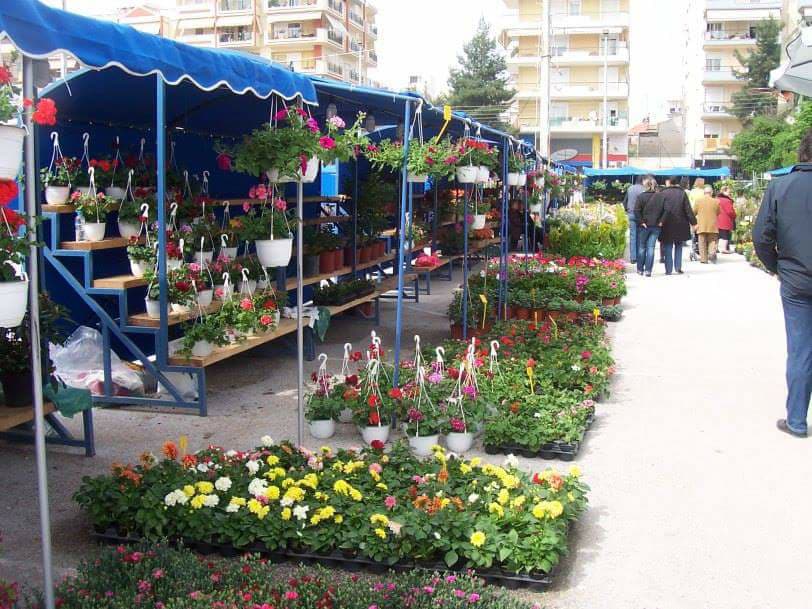 30697880_1878470378851702_2813777128812707840_n