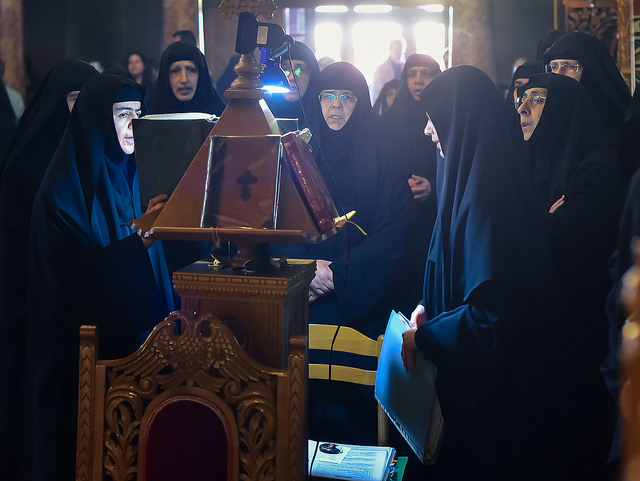 40469620010_44eeece308_z