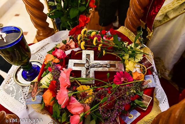 42930859352_c0b2d281dd_z