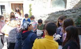 μακρυνίτσας