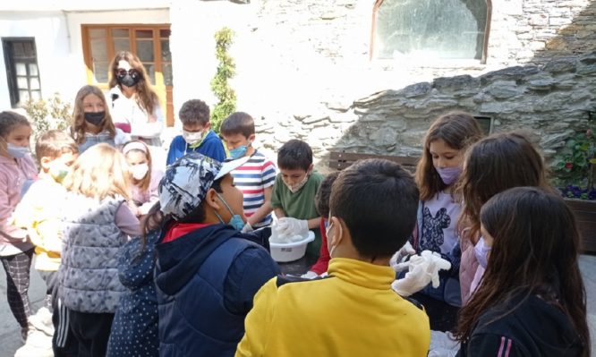 μακρυνίτσας