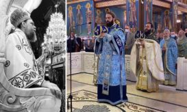 νέας ιωνίας