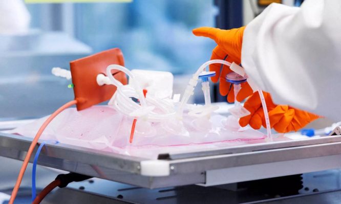 επιστήμονες