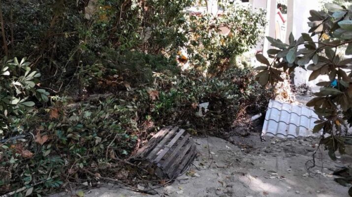 αγίας παρασκευής τεμπών